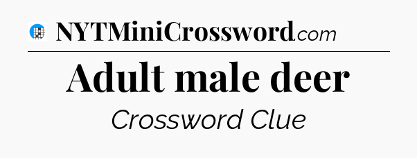 Adult male deer Crossword Clue