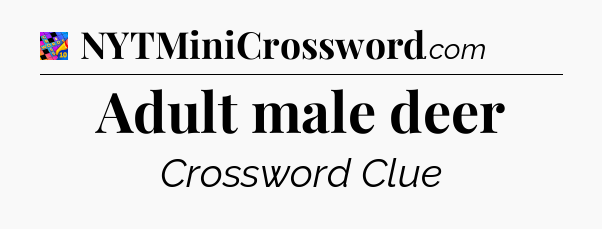 Adult male deer Crossword Clue