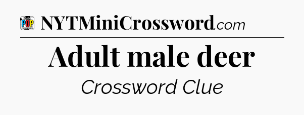 Adult male deer Crossword Clue