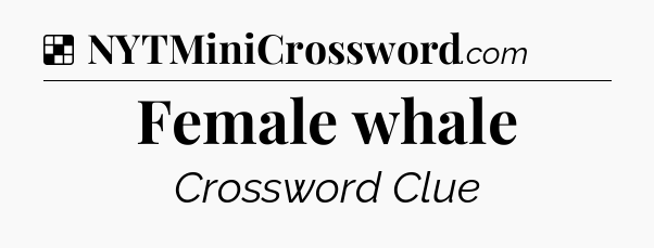 Solution: Female whale - NYT Crossword