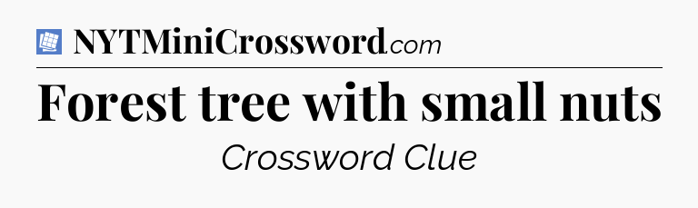 Forest tree with small nuts Puzzle Page Crossword Clue