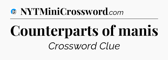 Counterparts of manis Crossword Clue