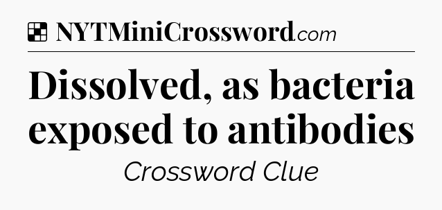 Solution: Dissolved, as bacteria exposed to antibodies - NYT Crossword