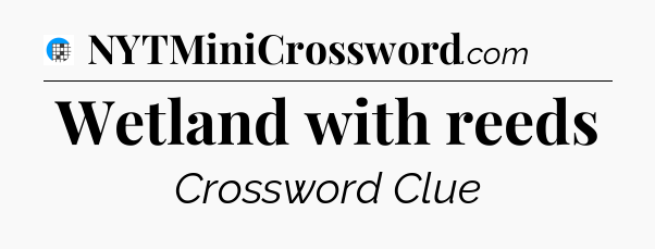 Wetland with reeds Crossword Clue