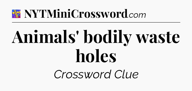 Animals' bodily waste holes Codycross