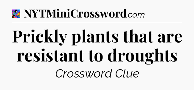 Prickly plants that are resistant to droughts Crossword Clue