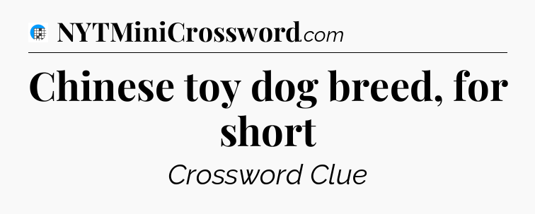 Chinese toy dog breed, for short Crossword Clue