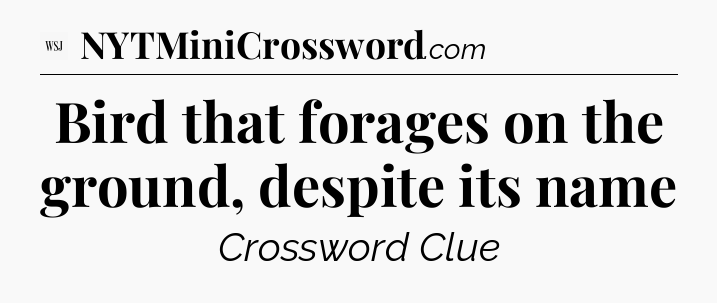 Bird that forages on the ground, despite its name - WSJ Crossword