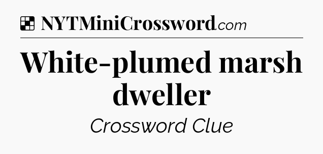 Solution: White-plumed marsh dweller - NYT Crossword