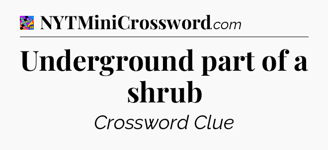 Underground part of a shrub Crossword Clue