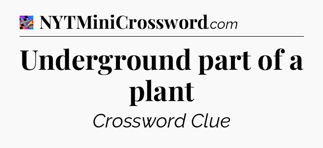 Underground part of a plant Crossword Clue