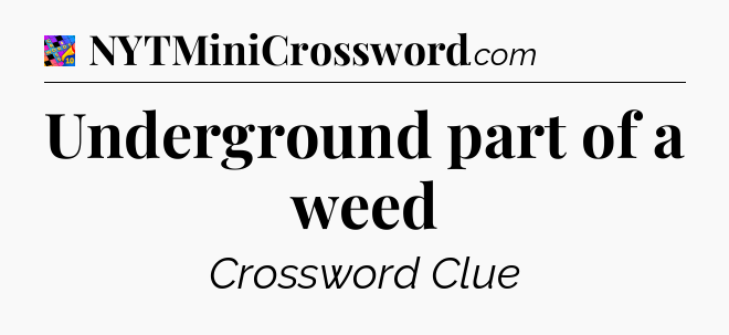 Underground part of a weed Crossword Clue