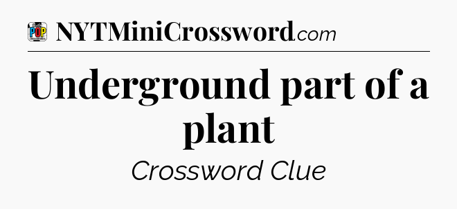 Underground part of a plant Crossword Clue