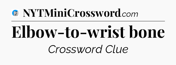 Elbow-to-wrist bone Crossword Clue