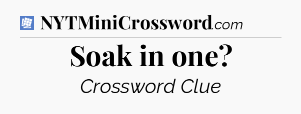 Soak in one Puzzle Page Crossword Clue